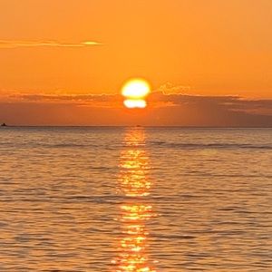 Meet your Posher, Cara